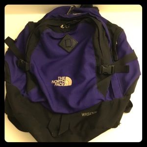 Vintage North Face Wastach Concord Purple
